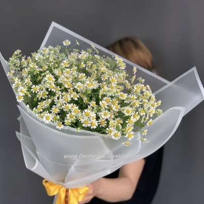Bouquet "Chamomile Paradise"