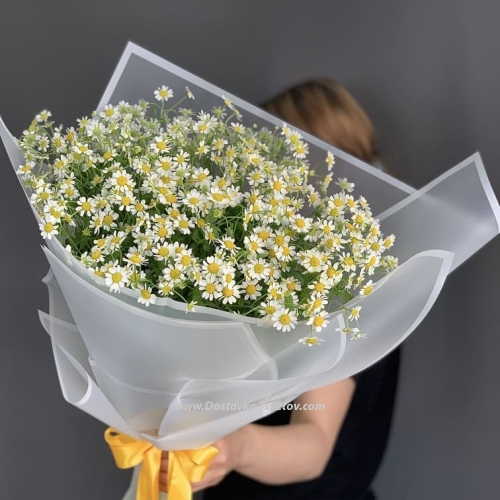 Bouquet "Chamomile Paradise"