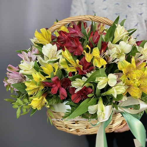 Basket of alstroemerias "Carmen"