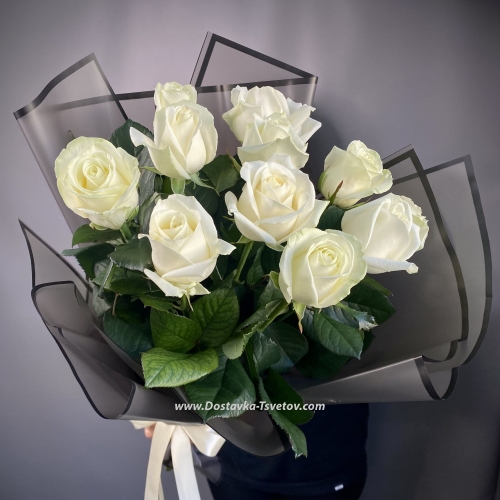 White roses "Blanca"