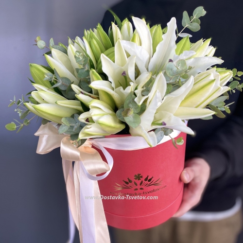 Lilies in a box "Georgia"