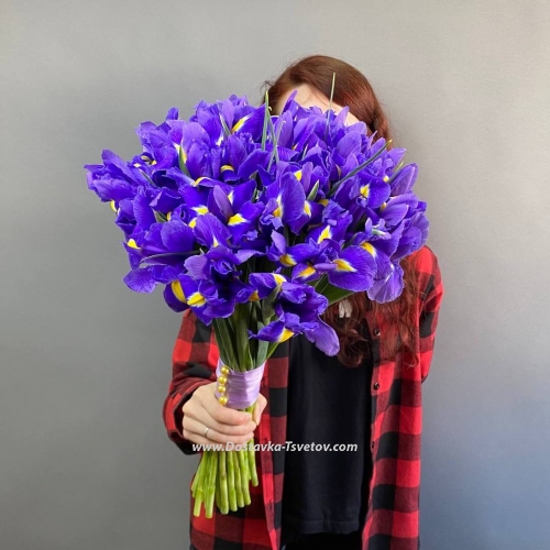 Bouquet of irises "Dymka"