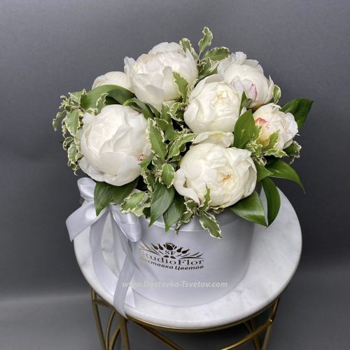 Box of white peonies "Snowman"