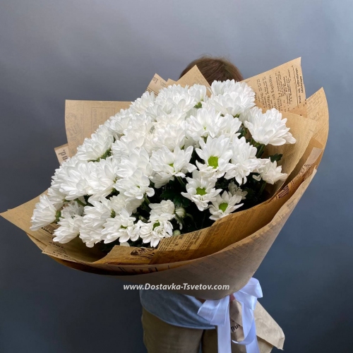 White chrysanthemums "Calm"