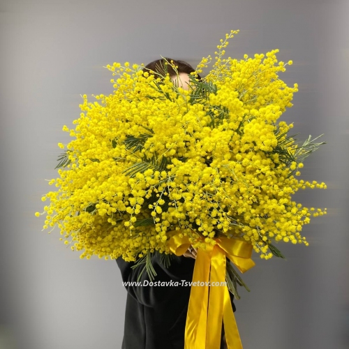 Bouquet "Luxury Mimosa"