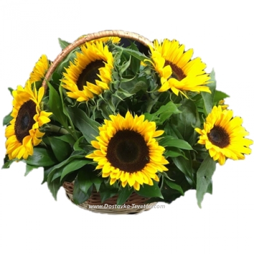 Basket of sunflowers "Baby"