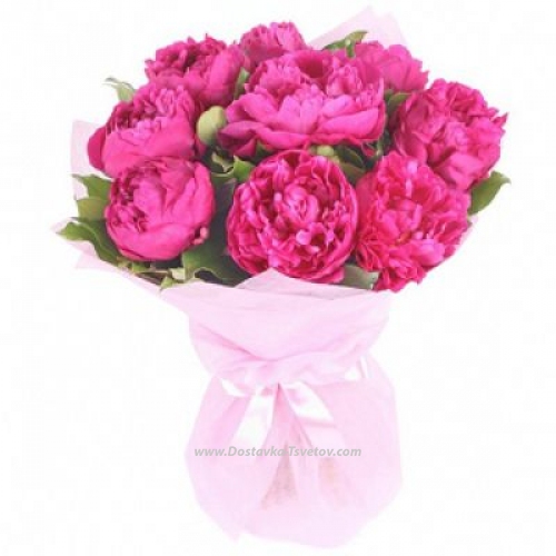 Pink peonies "Cute Image"