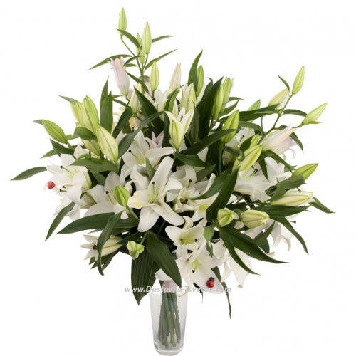 Bouquet of 17 lilies "Majorca"