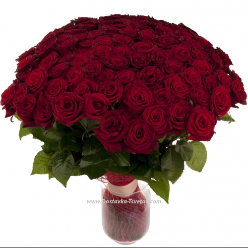 Red roses "Formula of Love"