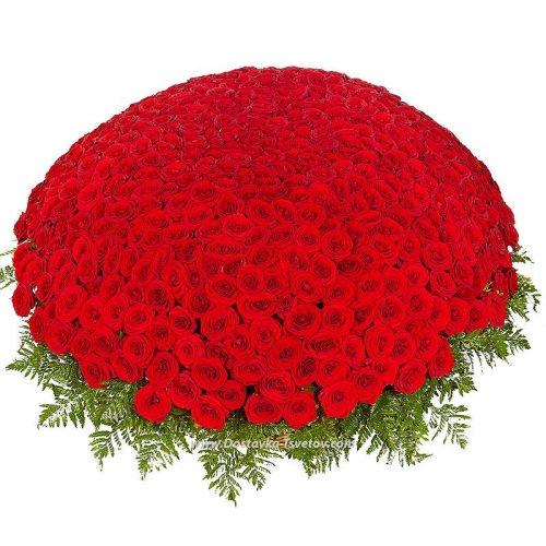 Basket of 501 "Red Sea"