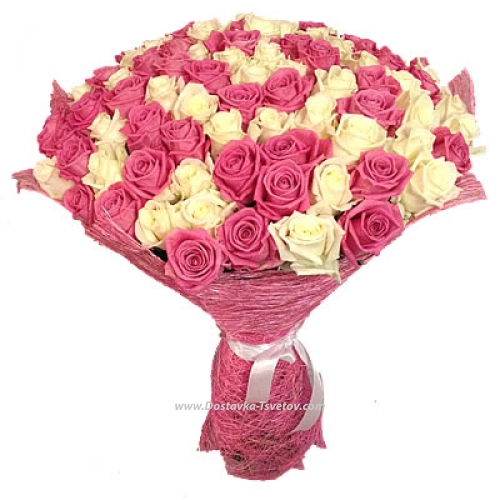 White and pink 101 roses "Angel"