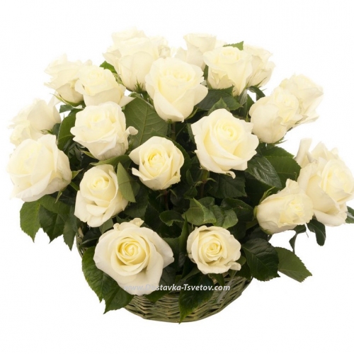 Basket of white roses "Hermitage"