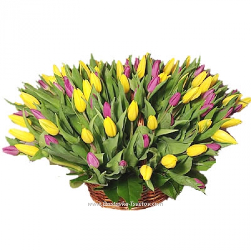 Basket of tulips "Veselchak"