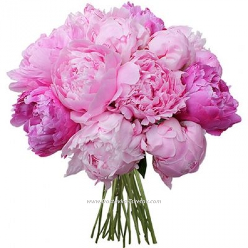 Bridal bouquet "Peony for dessert"