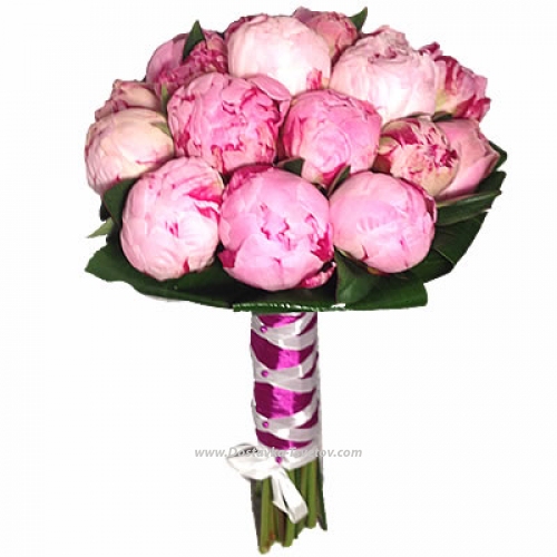 Pink peonies "Bride's Bouquet"