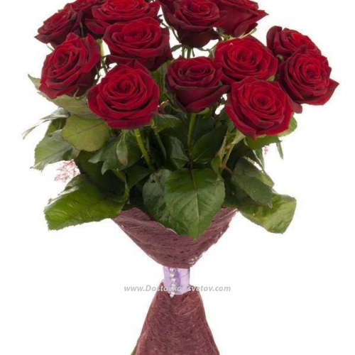 Red roses "Winter Cherry"