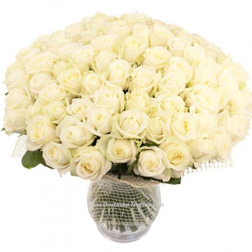 101 white roses "Bride"