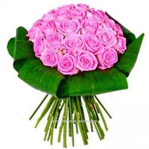 Pink roses with green "Fairy"