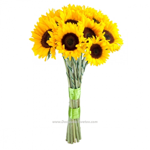 Sunflowers in the bouquet "Cookie"