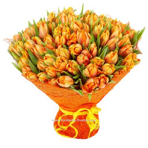 Orange tulips "Jupiter"