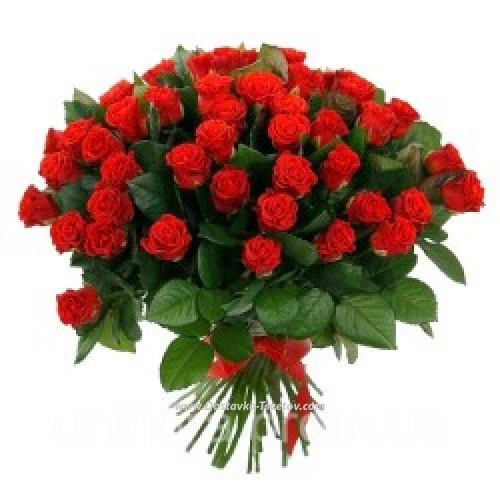 Bouquet of 51 roses "Loli"