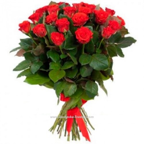 Red roses "Kenya"