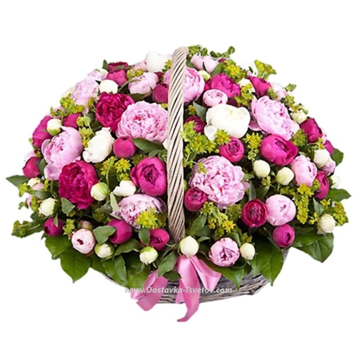 Basket of 65 peonies "Honey"