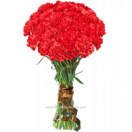 Carnations "Red Dawn"