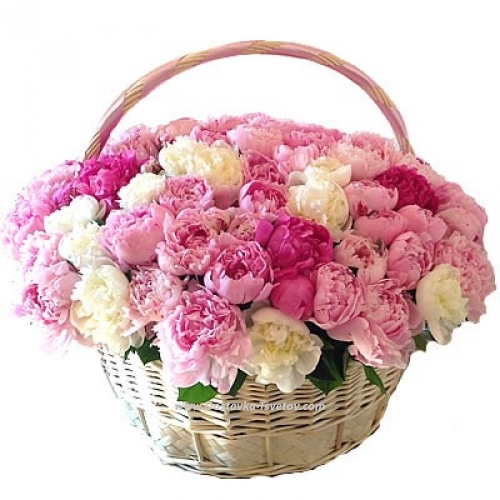 Bouquet of gorgeous peonies "Surprise"