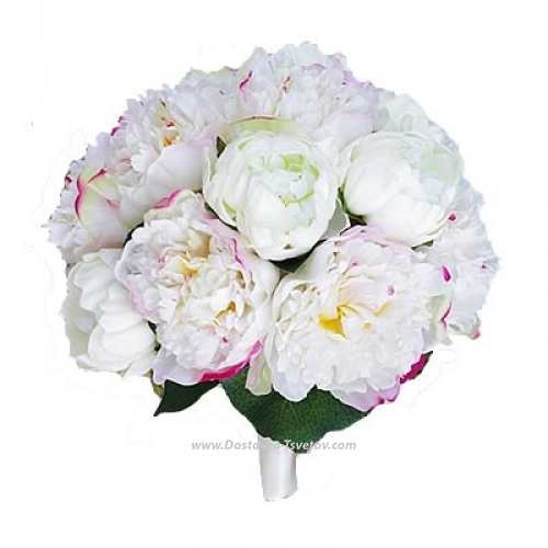 White peonies "Wedding Morning"