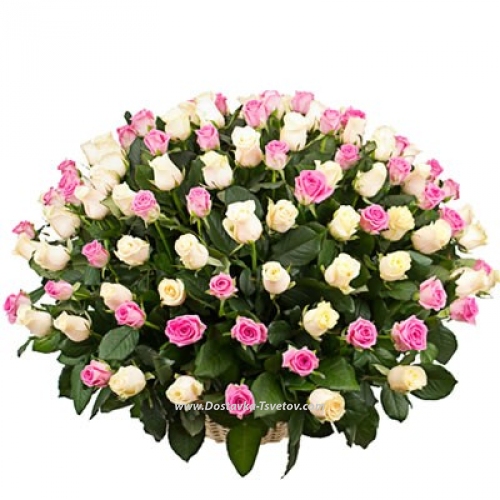 Basket of 101 delicate roses "Sofia"