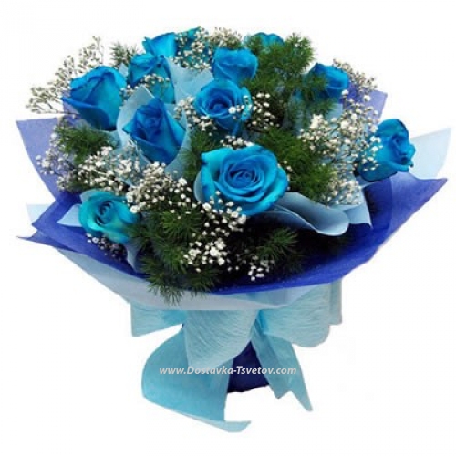 Blue roses "Orlando"