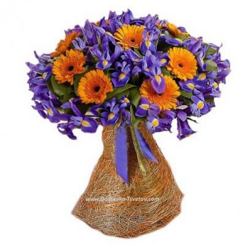 Irises with gerberas "Butterfly"