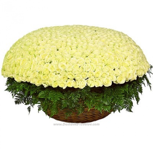 Huge basket 1001 white roses